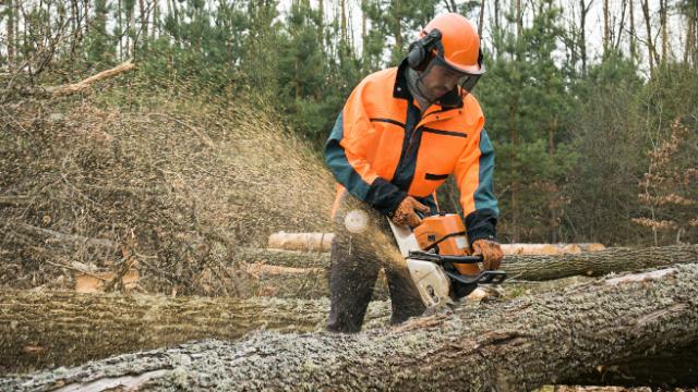 Logging and Chainsaw Safety